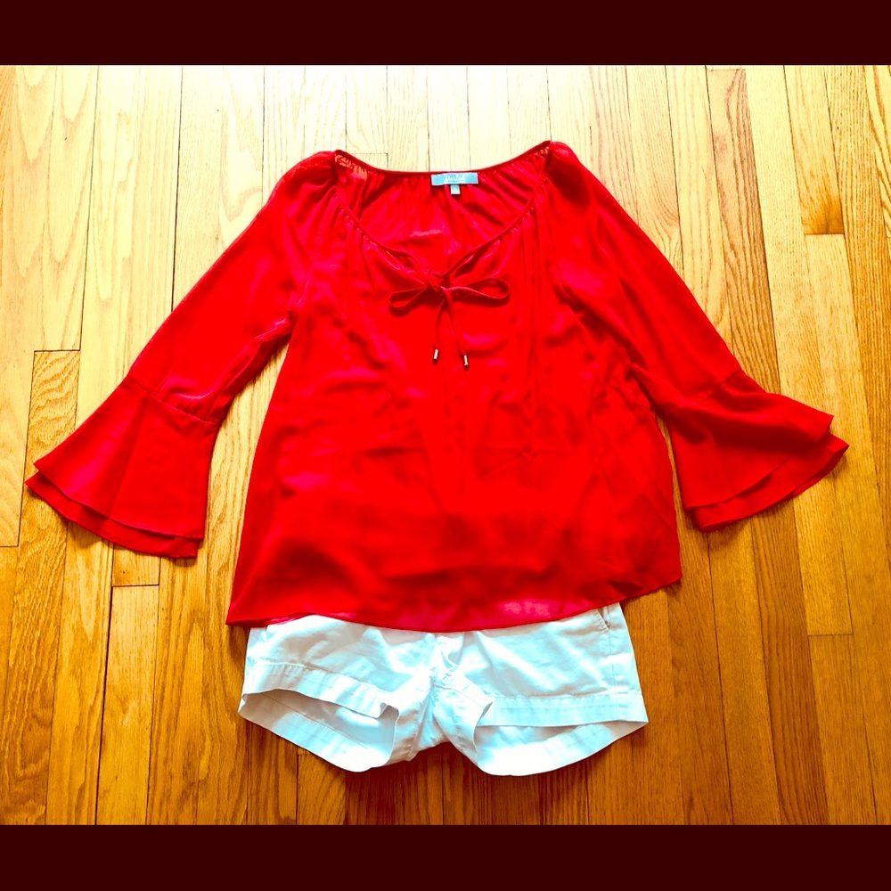 Beautiful Sheer Sleeves Top